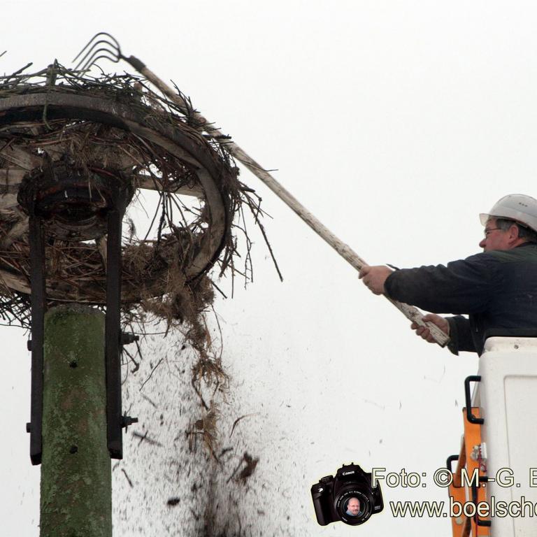 Reinigung Storchennest